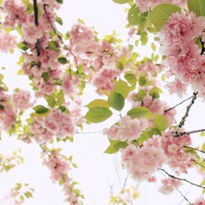 Meet your Posher, Jayde